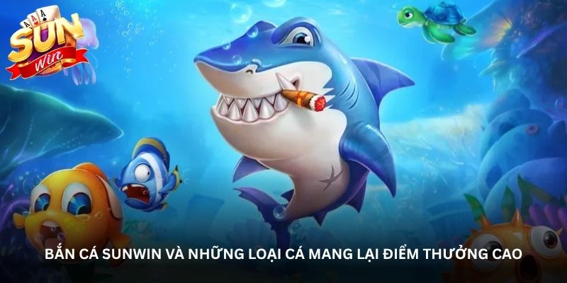 ban-ca-sunwin-va-nhung-loai-ca-mang-lai-diem-thuong-cao